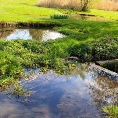 Beck, Chellow Dean, Walk