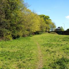 Beck, Chellow Dean, Walk