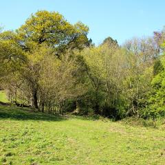 Beck, Chellow Dean, Walk