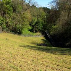 Beck, Chellow Dean, Walk