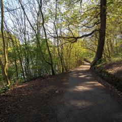 Beck, Chellow Dean, Walk