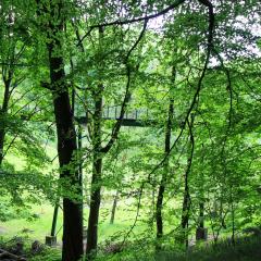 Bradford Becks, Northcliffe Dike, Red Beck, Walk