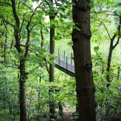Bradford Becks, Northcliffe Dike, Red Beck, Walk