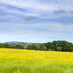 Bradford Becks, Northcliffe Dike, Red Beck, Walk