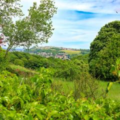 Bradford Becks, Northcliffe Dike, Red Beck, Walk