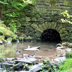 Bradford Becks, Northcliffe Dike, Red Beck, Walk