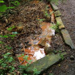 Bradford Becks, Northcliffe Dike, Red Beck, Walk