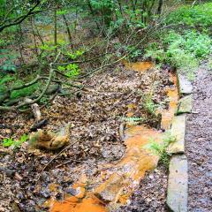 Bradford Becks, Northcliffe Dike, Red Beck, Walk