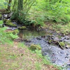 Bradford Becks, Northcliffe Dike, Red Beck, Walk
