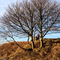 Castle Hill, Huddersfield
