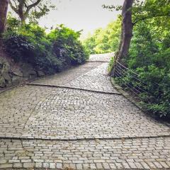 Halifax, Hipperholme, Shibden Park, Walk