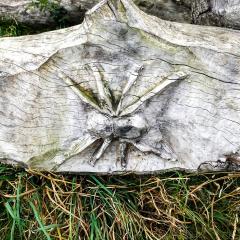Halifax, Hipperholme, Shibden Park, Walk