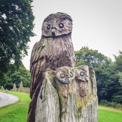 Halifax, Hipperholme, Shibden Park, Walk