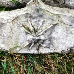 Halifax, Hipperholme, Walk