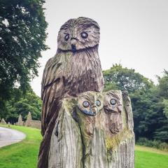 Halifax, Hipperholme, Walk