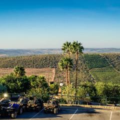 MAD2017, Portugal. Quad Biking