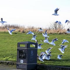 Newcastle, Whitley Bay