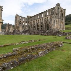 Rievaulx Abbey