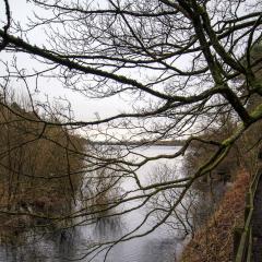 Ogden Water