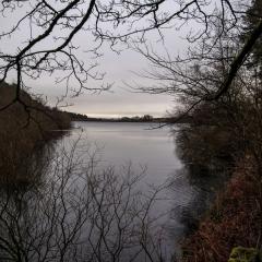 Ogden Water