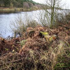 Ogden Water