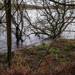 Ogden Water