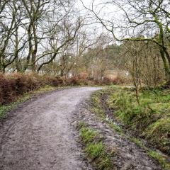 Ogden Water