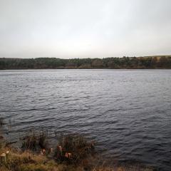 Ogden Water