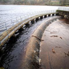 Ogden Water