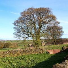Queensbury, Thornton, Walk