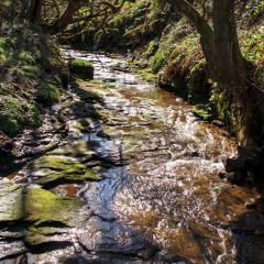 Ryburn Reservoir, Walk
