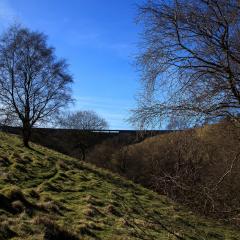 Ryburn Reservoir, Walk