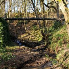 Ryburn Reservoir, Walk