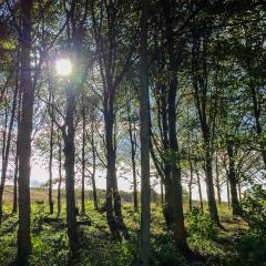 Scammonden, Walk