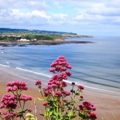 North Bay, Scarborough