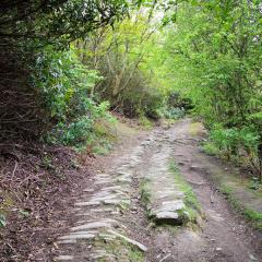 Halifax, Queensbury, Shibden Dale, Walk