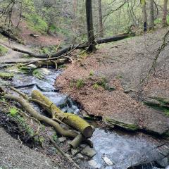 Halifax, Queensbury, Shibden Dale, Walk