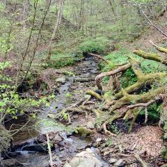 Halifax, Queensbury, Shibden Dale, Walk