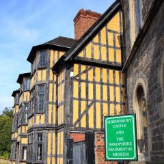 2017, Folk Festival, Shrewsbury