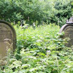 Bradford, Literature Festival, Mark Davies, Undercliffe Cemetery