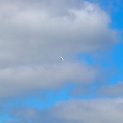Gliding, Pocklington Airfield, Tara, Wolds Gliding Club