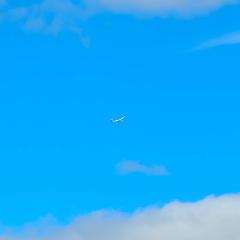 Gliding, Pocklington Airfield, Tara, Wolds Gliding Club