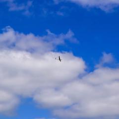 Gliding, Pocklington Airfield, Tara, Wolds Gliding Club