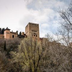 Alhambra, Granada