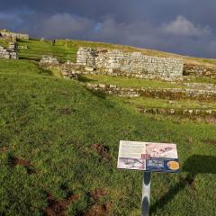 Hadrians Wall, Housesteads