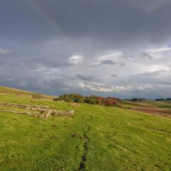Hadrians Wall, Housesteads