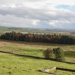 Hadrians Wall, Housesteads