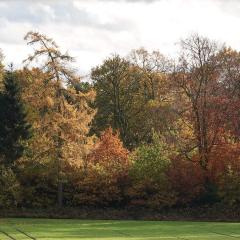 Autumn, Home, Pocklington ORG_RX_00613