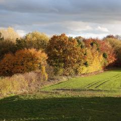 Autumn, Home, Pocklington