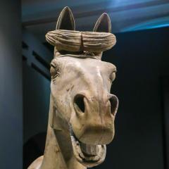 Liverpool, Terracotta Warriors, World Museum